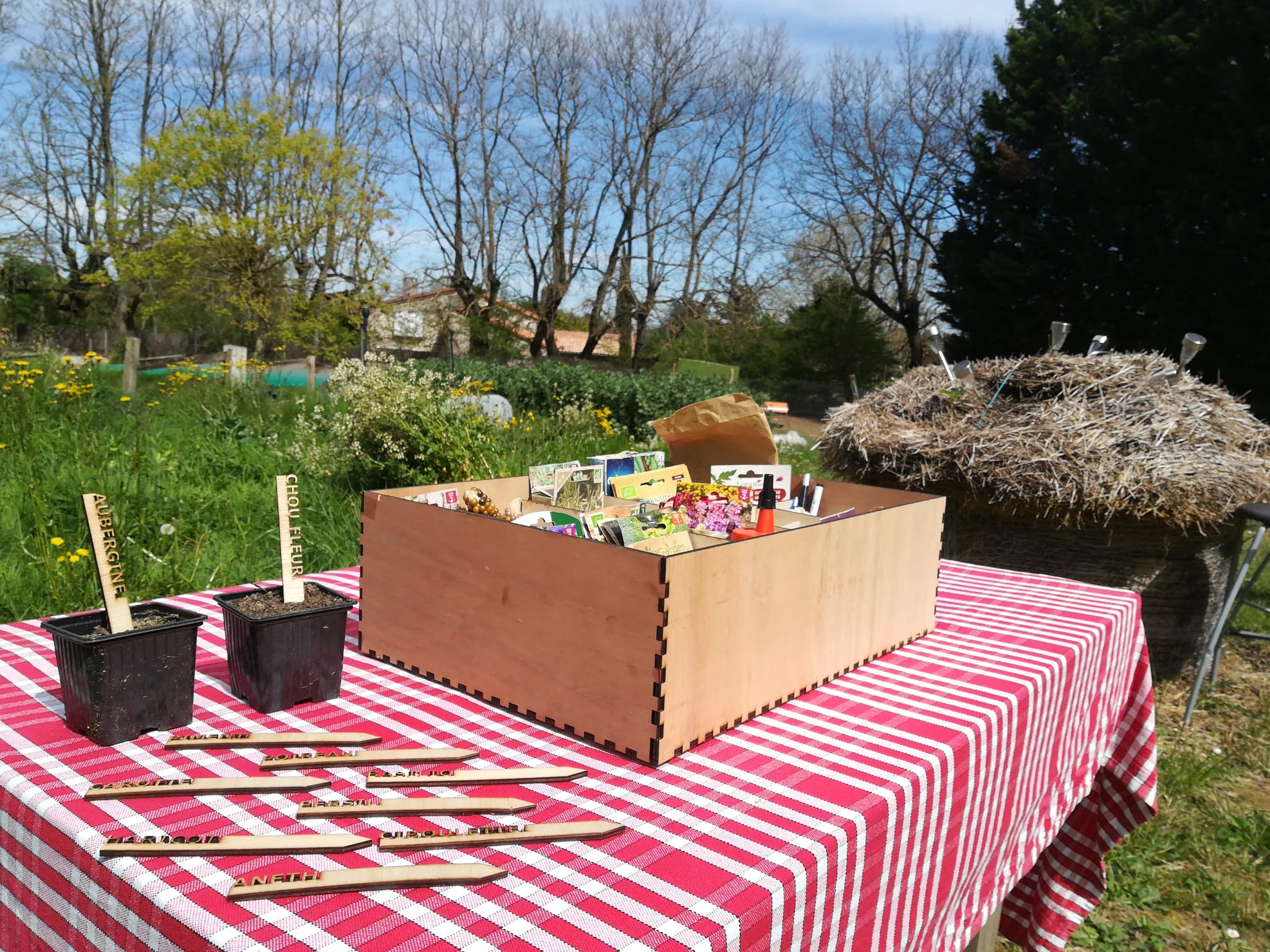 Boîte à graines
